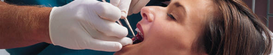 Dental Concept - About Us