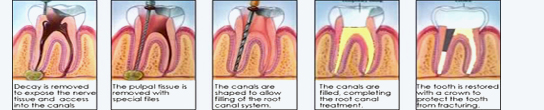 Dental Concept - About Us